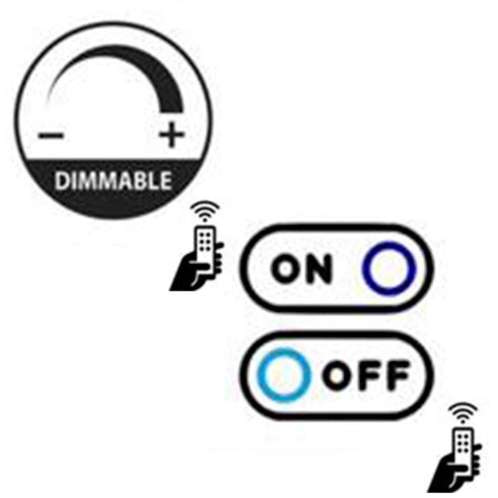 Combination Remote Switches