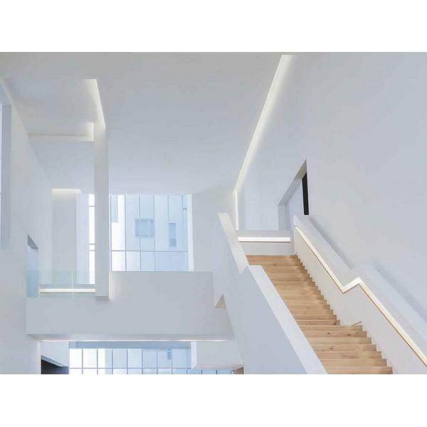 I LumoS 8x16mm BLUE Flexible IP65 Dimmable LED Neon Strip Light 12V 9W/m - Planet Neon