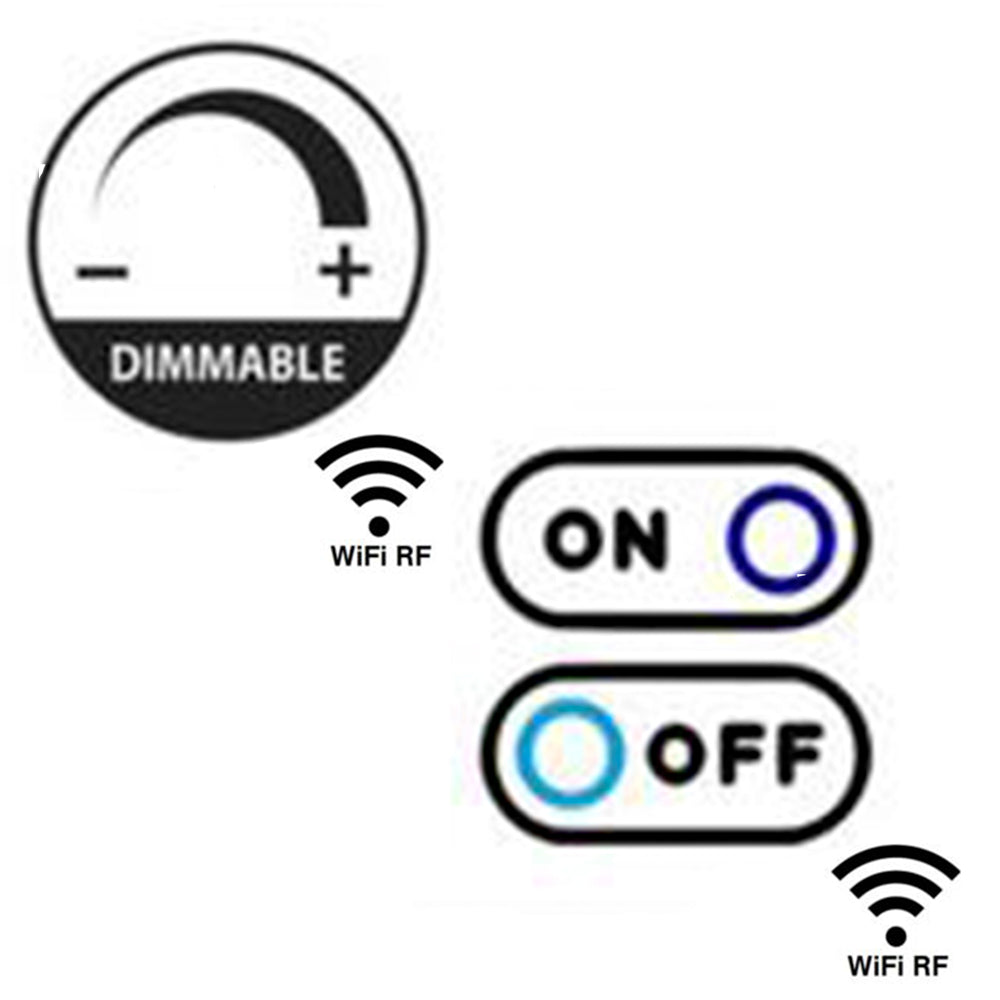 Combination WIFI RF Switches