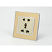 Gold Mirror Glass single Frame with gold insert of 5 pin socket