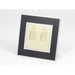 black glass mirror frame with two internet port gold socket