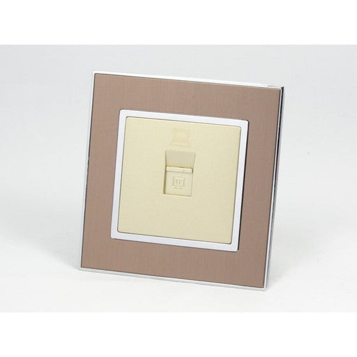 Gold Satin Metal Single Frame with gold insert of internet socket