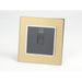 Gold Mirror Glass Single Frame with dark grey insert of rotary dimmer light switch