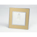 Gold Mirror Glass Single Frame with white insert of rotary dimmer light switch