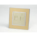 Gold Mirror Glass Single Frame with gold insert of telephone and internet socket