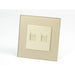 Gold Glass Single Frame with gold insert of 2x Telephone socket