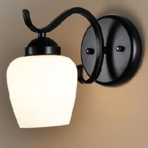 Indoor Black wall light
